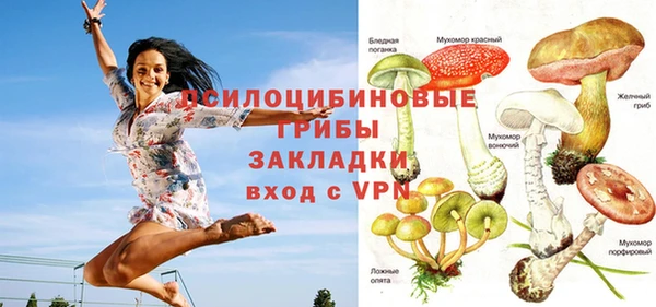 мяу мяу мука Абдулино