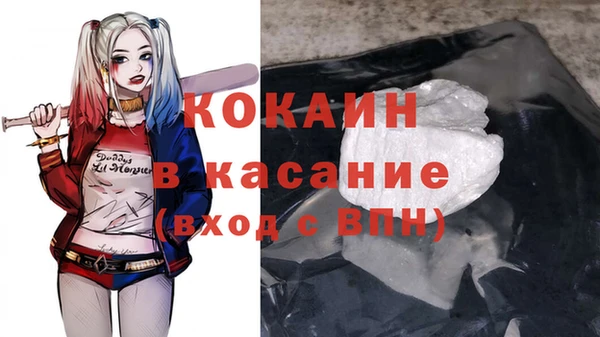 твердый Алексеевка