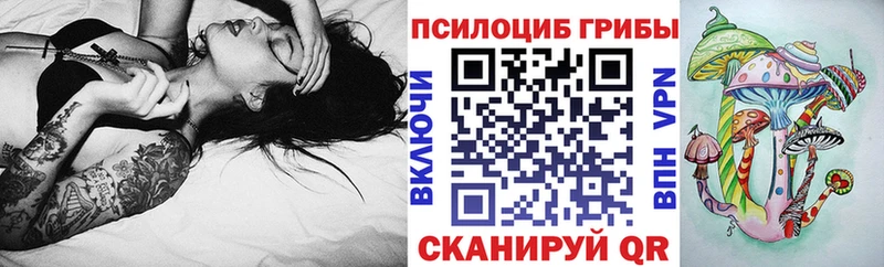 Галлюциногенные грибы мицелий  Кириллов 
