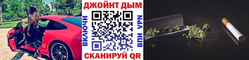 где продают наркотики  Кириллов  Шишки марихуана сатива 